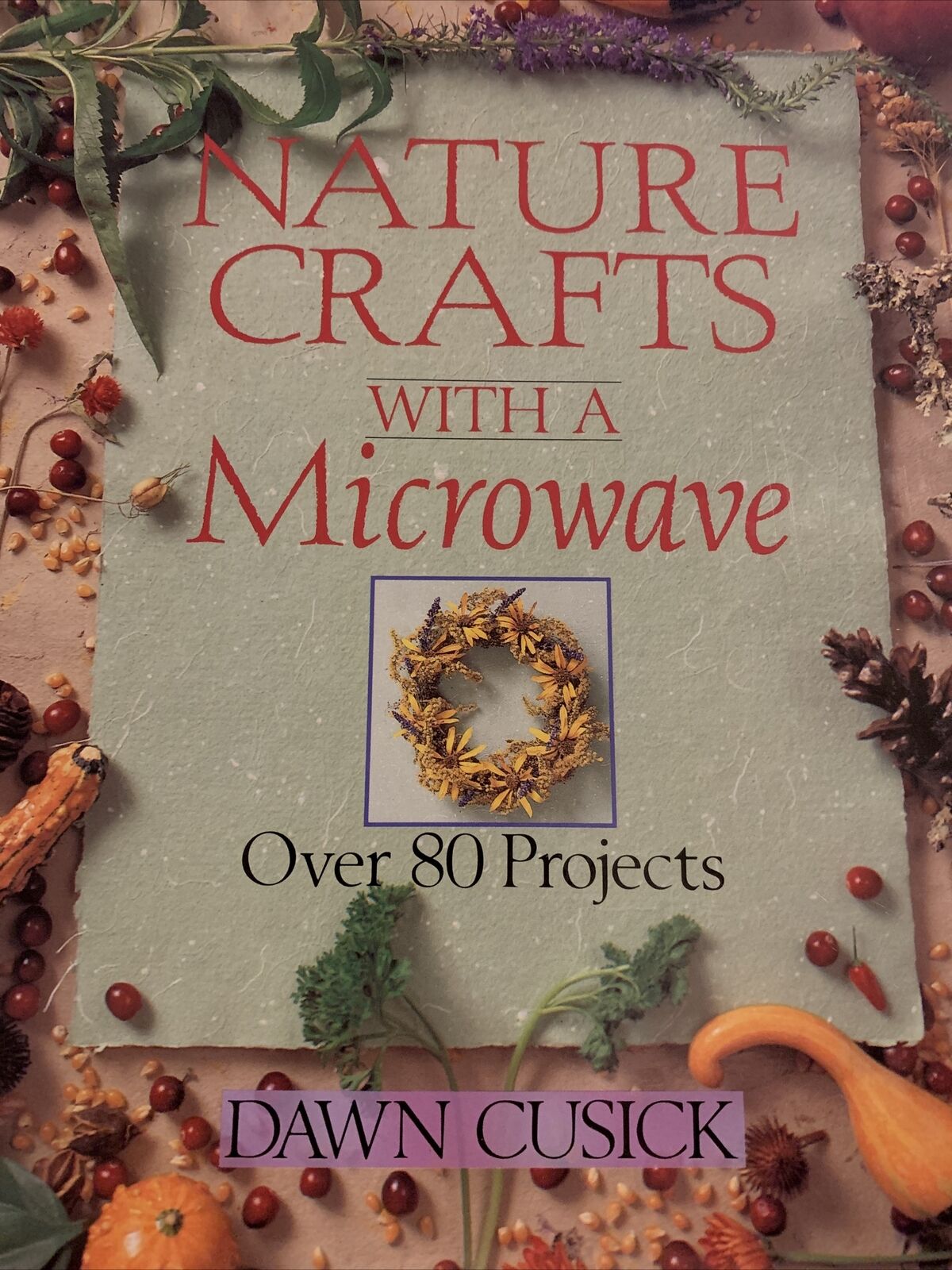 Nature Crafts With A Microwave Over 80 Projects