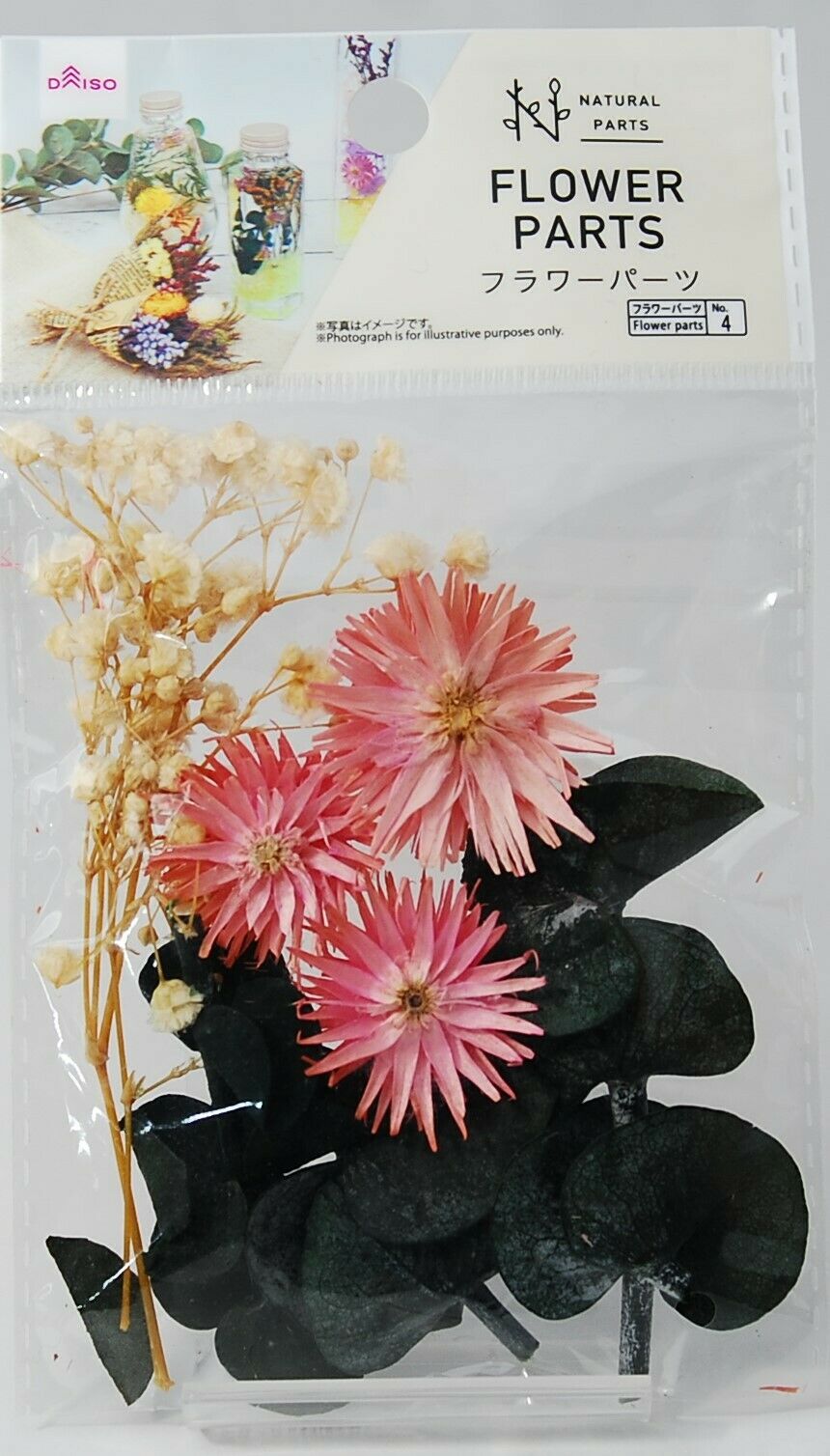 Flower Parts  Natural Parts Miscellaneous Goods Dollhouse Interior　f/s Japan